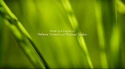 خیلی خیلی کوچک (2) (اثر پروانه ای)